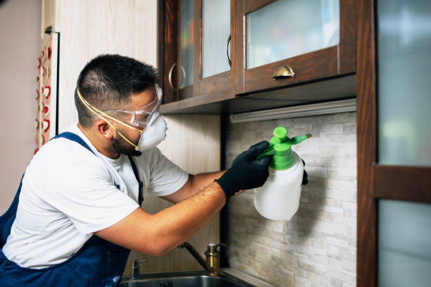 Best Pest Control for Restaurants  in Birmingham, AL