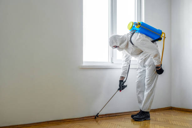  Birmingham, AL Pest Control Pros