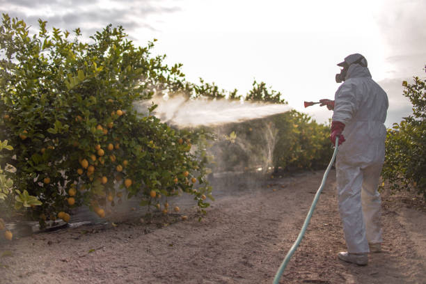 Best Local Pest Control Services  in Birmingham, AL