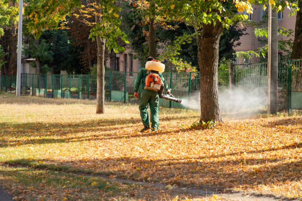 Best Best Pest Control Companies  in Birmingham, AL