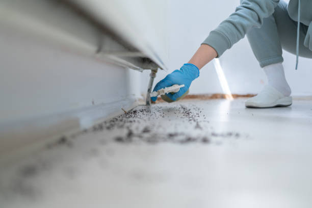 Best Affordable Pest Control Services  in Birmingham, AL
