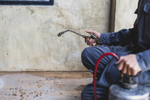 Best Exterminator Services  in Birmingham, AL
