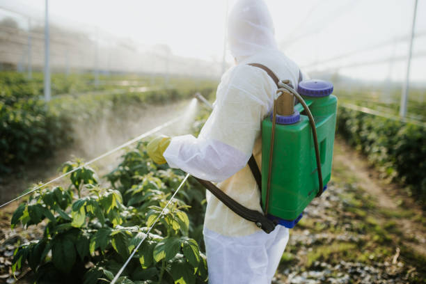 Birmingham, AL Pest Control Company